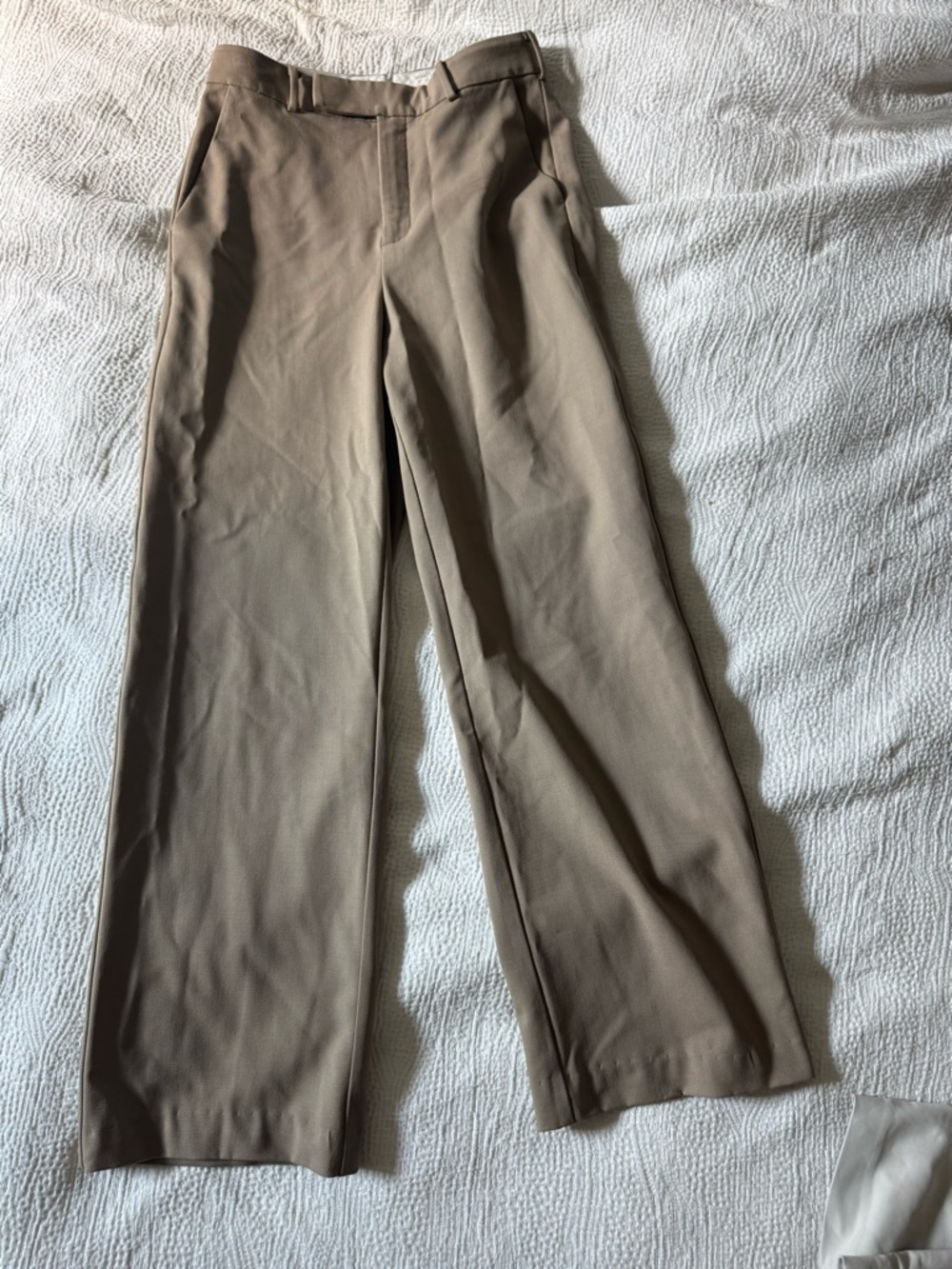 Babaton Agency Dress Pants in Taupe